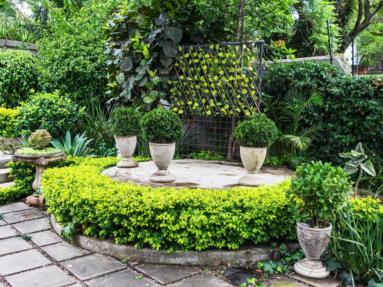 מלון פרטוריה Muckleneuk Manor מראה חיצוני תמונה